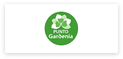 logo11.png