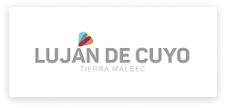 logo16.png