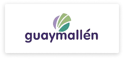 logo28.png